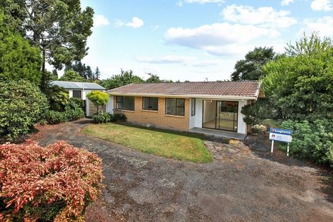 Photo of property in 233a Dey Street, Hamilton East, Hamilton, 3216