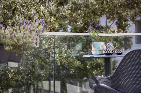 Photo of property in 75b Campbell Road, Mount Maunganui, 3116