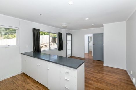 Photo of property in 19 Caernarvon Street, Dinsdale, Hamilton, 3204