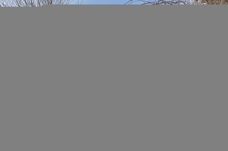 Photo of property in 8 Connolly Street, Geraldine, 7930