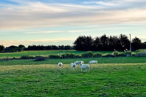 Photo of property in 150a Lorne Dacre Road, Lorneville, Invercargill, 9876