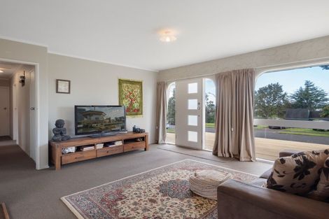 Photo of property in 26 Winchester Terrace, Bethlehem, Tauranga, 3110