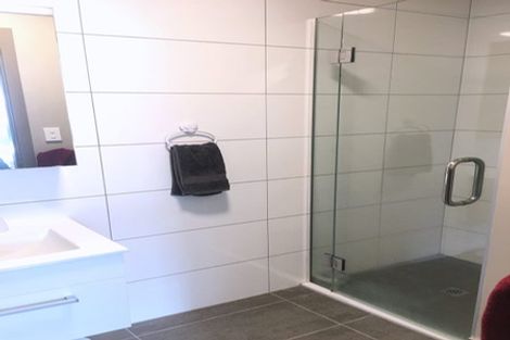 Photo of property in Canvas Apartments, 11/307u Willis Street, Te Aro, Wellington, 6011