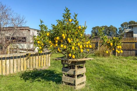 Photo of property in 6736 Wilson Road, Netherton, Paeroa, 3671