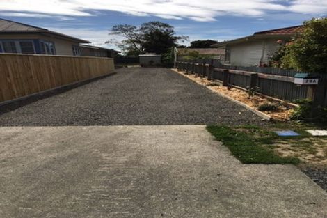 Photo of property in 29&29a George Street, Levin, 5510