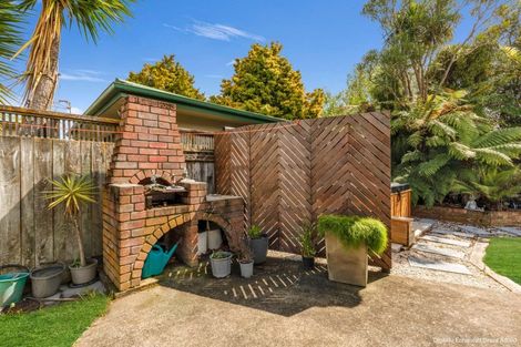 Photo of property in 33 Winston Avenue, Hokowhitu, Palmerston North, 4410