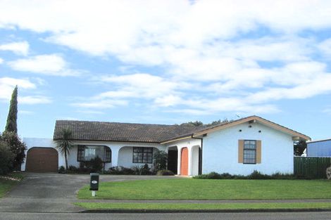 Photo of property in 81 Kennedy Drive, Levin, 5510