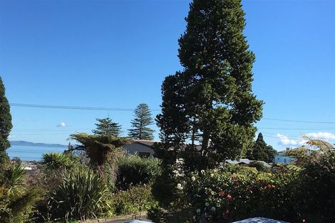 Photo of property in 100a Mill Street, Thames, 3500