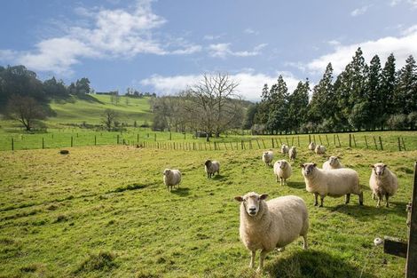 Photo of property in 4911 Ohaupo Road, Te Awamutu, Ohaupo, 3883