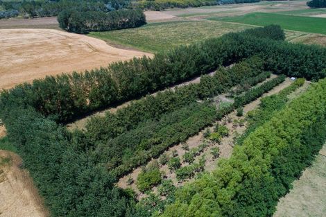 Photo of property in 985 Parewanui Road, Parewanui, Bulls, 4894