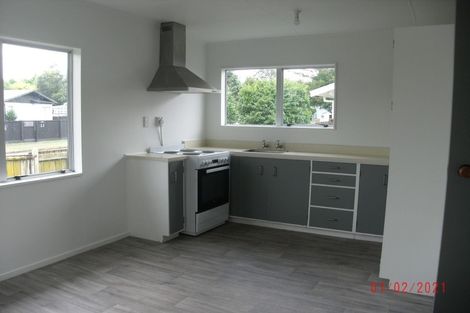 Photo of property in 14 Guy Avenue, Levin, 5510