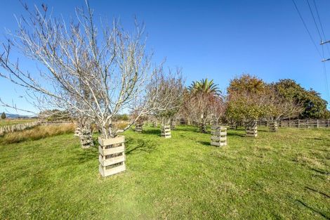 Photo of property in 6736 Wilson Road, Netherton, Paeroa, 3671
