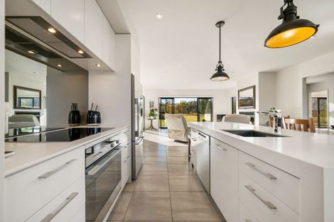 Photo of property in 96 Mcintosh Road, Blackmans, Alexandra, 9391