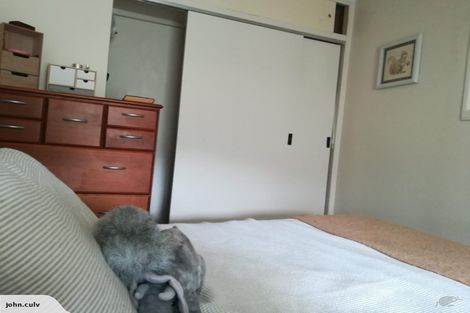 Photo of property in 6a Peranga Terrace, Hataitai, Wellington, 6021