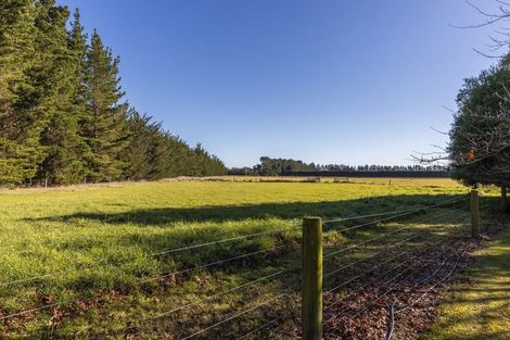 Photo of property in 1499 Tram Road, Swannanoa, Rangiora, 7475