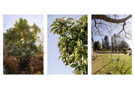 Photo of property in 1255 Braemar Road, Rotoma, Whakatane, 3192