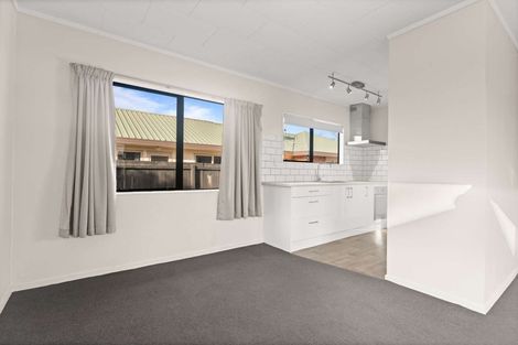 Photo of property in 120a Nixon Street, Hamilton East, Hamilton, 3216