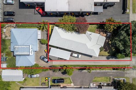 Photo of property in 46b Miro Street, New Lynn, Auckland, 0600