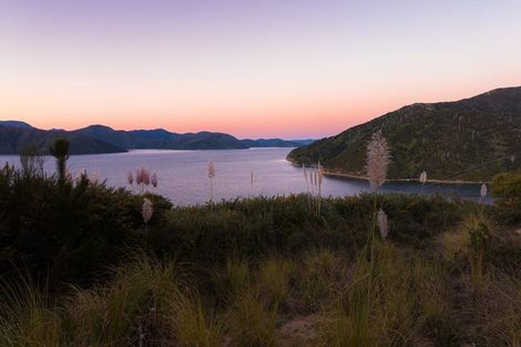 Photo of property in 318 Port Underwood Road, Whatamango Bay, Picton, 7281
