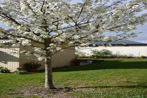 Photo of property in 7 Melfield Place, Richmond, 7020