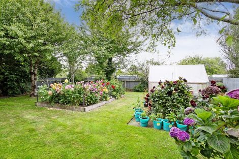 Photo of property in 77 Adamson Crescent, Glengarry, Invercargill, 9810