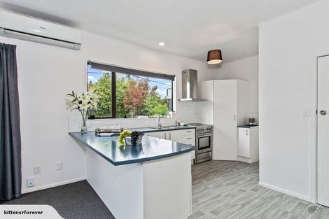 Photo of property in 47 Mackworth Street, Woolston, Christchurch, 8062