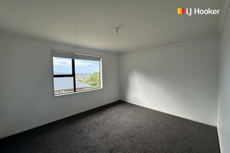 Photo of property in 3 Ballance Street, Caversham, Dunedin, 9011