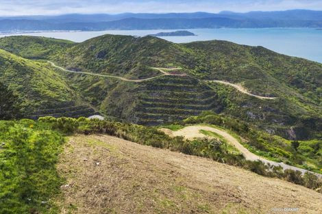 Photo of property in 11 Grumman Lane, Newlands, Wellington, 6037