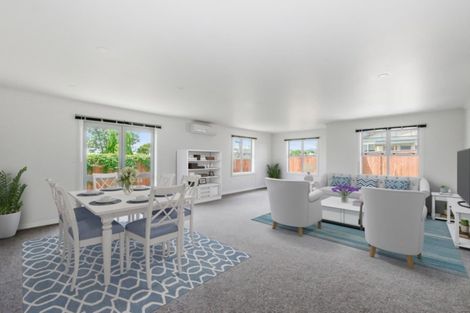 Photo of property in 91 Tiro Tiro Road, Levin, 5510