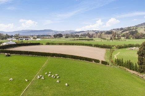 Photo of property in 309 Gladstone Road North, East Taieri, Mosgiel, 9092