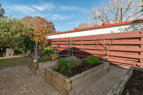 Photo of property in 50a Myres Street, Otumoetai, Tauranga, 3110