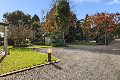 Photo of property in 556 Pyes Pa Road, Pyes Pa, Tauranga, 3173