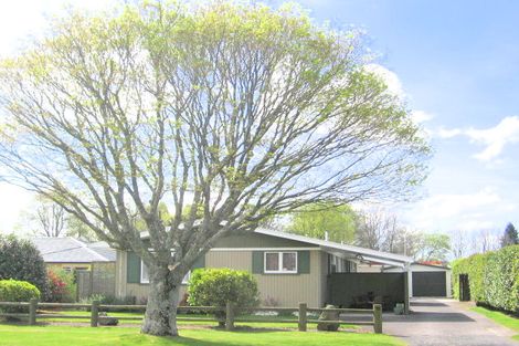 Photo of property in 59b Elizabeth Street, Victoria, Rotorua, 3010