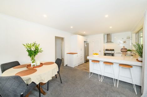 Photo of property in 115 Winchester Street, Ashhurst, 4810