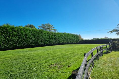 Photo of property in 161 Hautapu Road, Pukemoremore, Cambridge, 3493