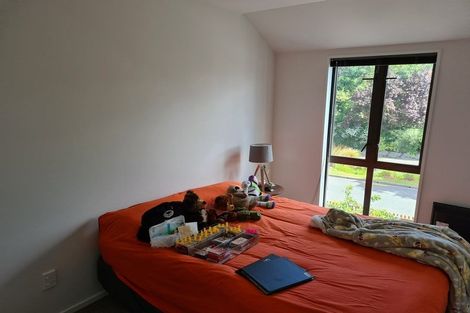 Photo of property in 58 Edward Avenue, Edgeware, Christchurch, 8013