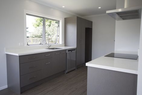 Photo of property in 161 Pollard Drive, Te Awamutu, 3800