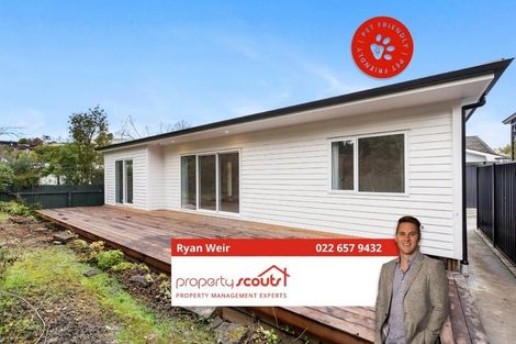 Photo of property in 3 Shortland Place, Havelock North, 4130