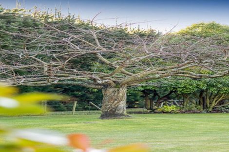 Photo of property in 29 Scarlet Oak Drive, West Melton, Christchurch, 7671