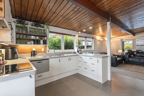 Photo of property in 9 Montgomery Terrace, Hokowhitu, Palmerston North, 4410