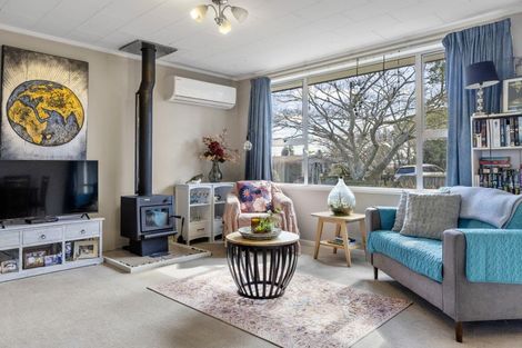 Photo of property in 1/86 Hinemoa Avenue, Taupo, 3330