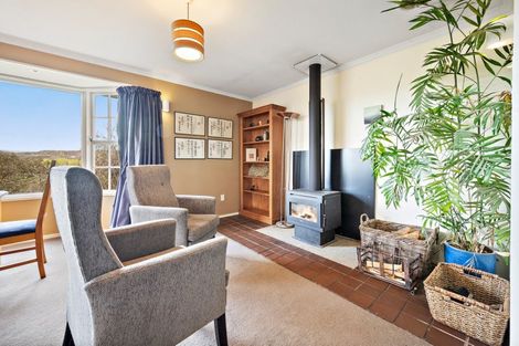 Photo of property in 217 Manuherikia Road, Springvale, Alexandra, 9393