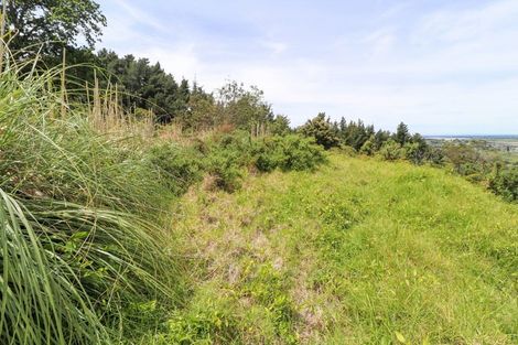 Photo of property in 210 Hauraki Terrace, Thames, 3500