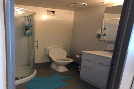 Photo of property in Dual Apartments, 301/142u Vivian Street, Te Aro, Wellington, 6011