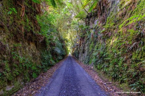 Photo of property in 22 Whakaraparapa Road, Kakahi, 3989