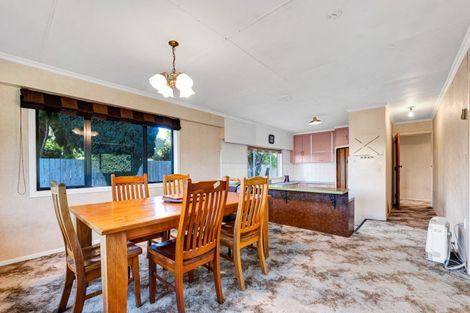 Photo of property in 13 Regan Street, Stratford, 4332