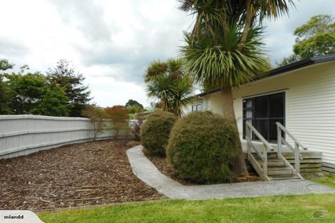 Photo of property in 45 Matai Street, Waiuku, 2123
