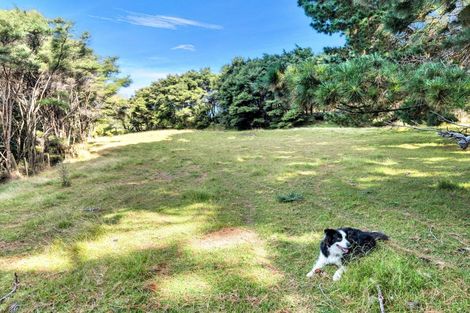 Photo of property in 158 Mcleod Road, South Head, Helensville, 0874