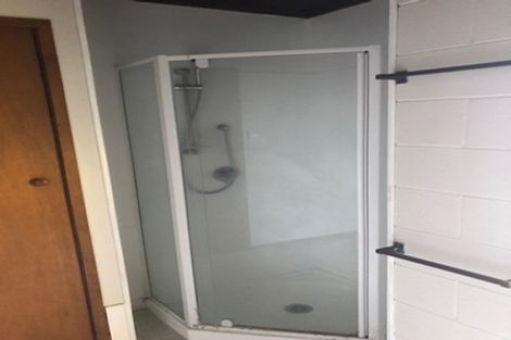 Photo of property in 124c Galloway Street, Hamilton East, Hamilton, 3216