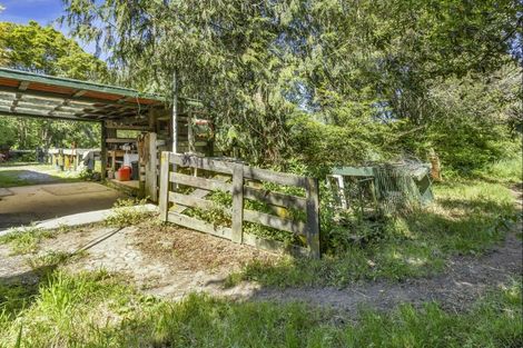 Photo of property in 3/193 Racecourse Road, Cambridge, 3493